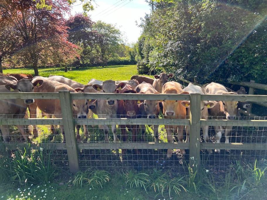 Mayfield Lodge, Paxford, Gl55 6xu Apartment *